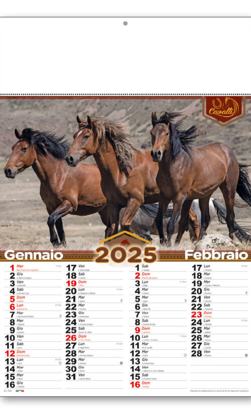calendario illustrato 217