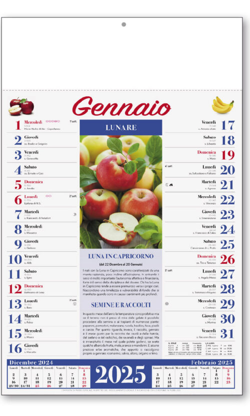 calendario illustrato 251