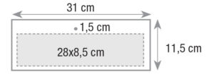 testata 31x11