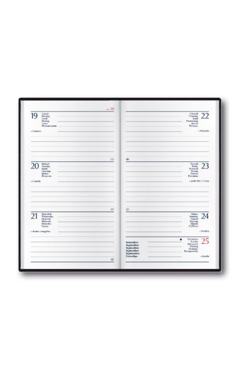 agenda s 100 interno