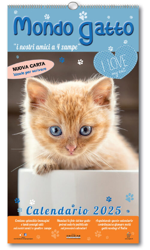 calendario mondo gatto