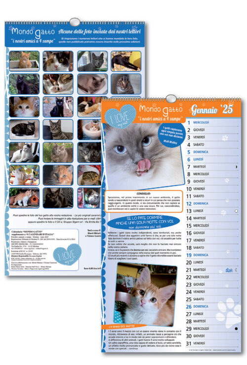 calendario mondo gatto retro