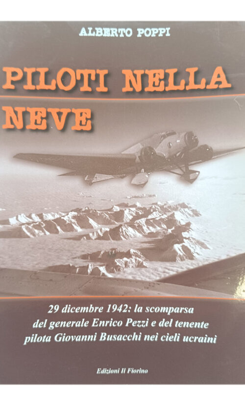 piloti nella neve
