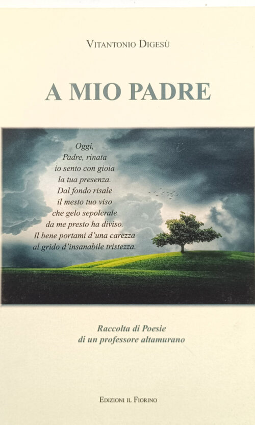 a mio padre