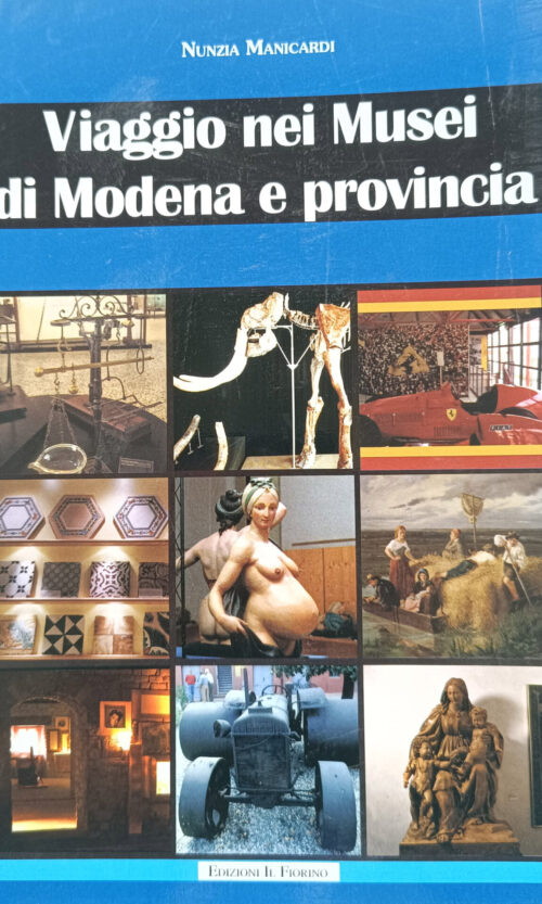 viaggio nei musei di modena e provincia