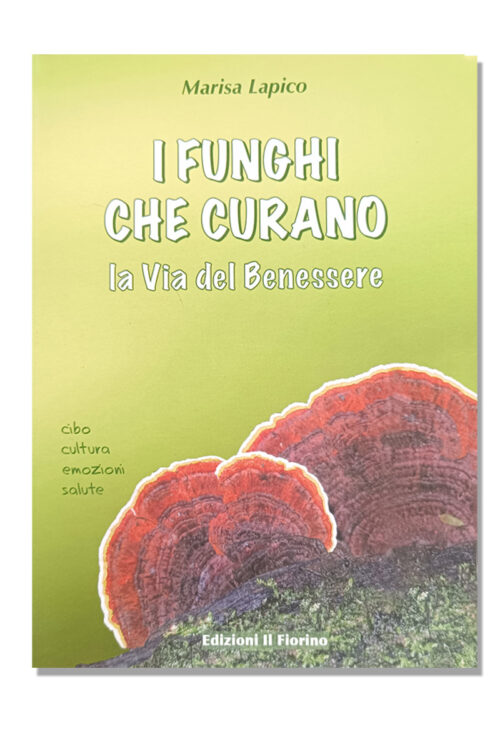 i funghi che curano