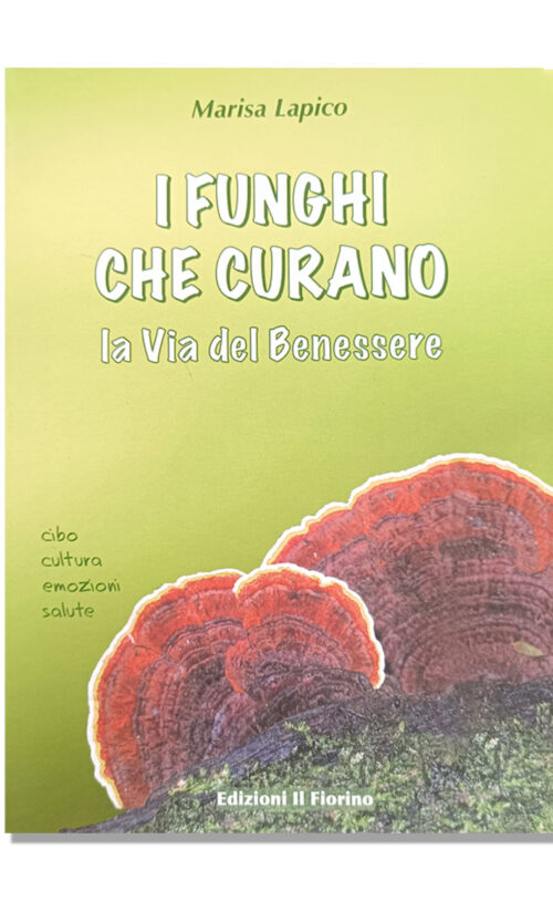 i funghi che curano
