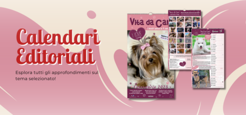Calendari Editoriali