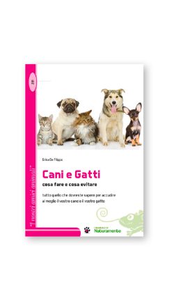 CANI E GATTI COSA FARE ECOSA EVITARE